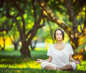 开云-冰火两重天，申花五连胜强势领跑，贝林厄姆主帅深陷下课危机，申花五连胜强势领跑，贝林厄姆主帅下课危机暗涌
